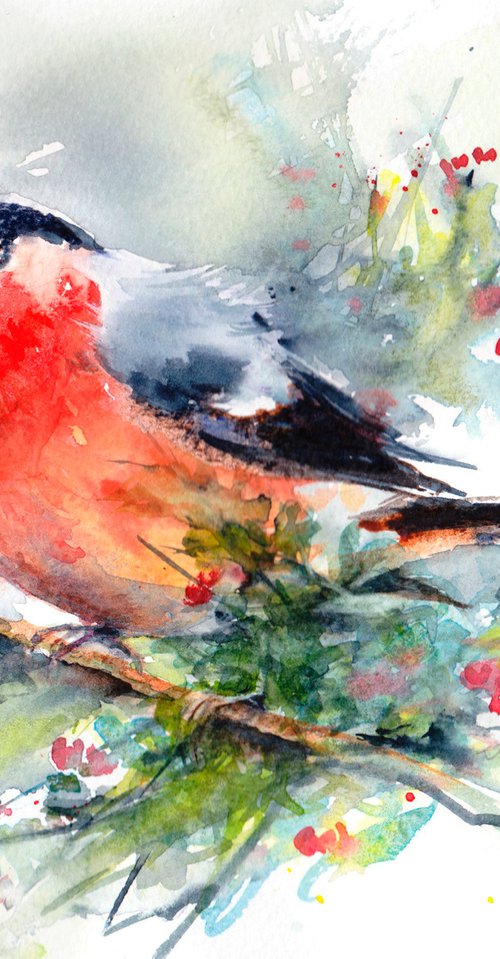 Bullfinch by Anjana Cawdell