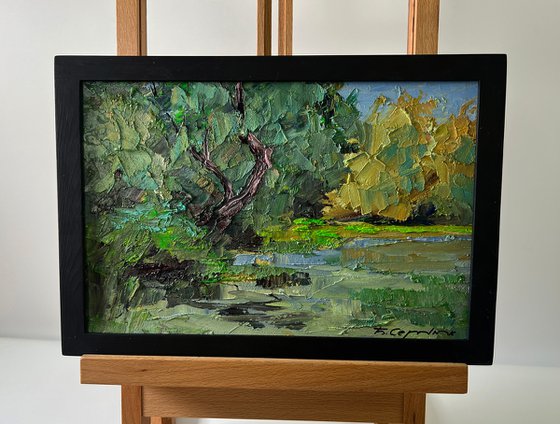 Trees above the River