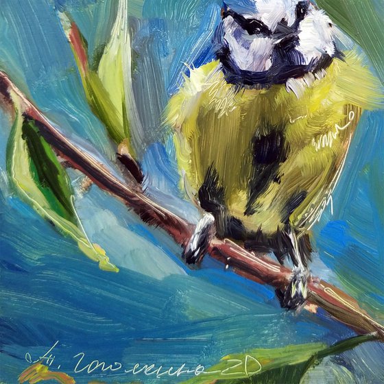 Chickadee bird #2
