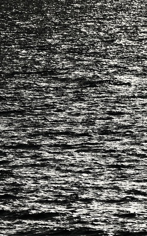 Sail by Tal Paz-Fridman