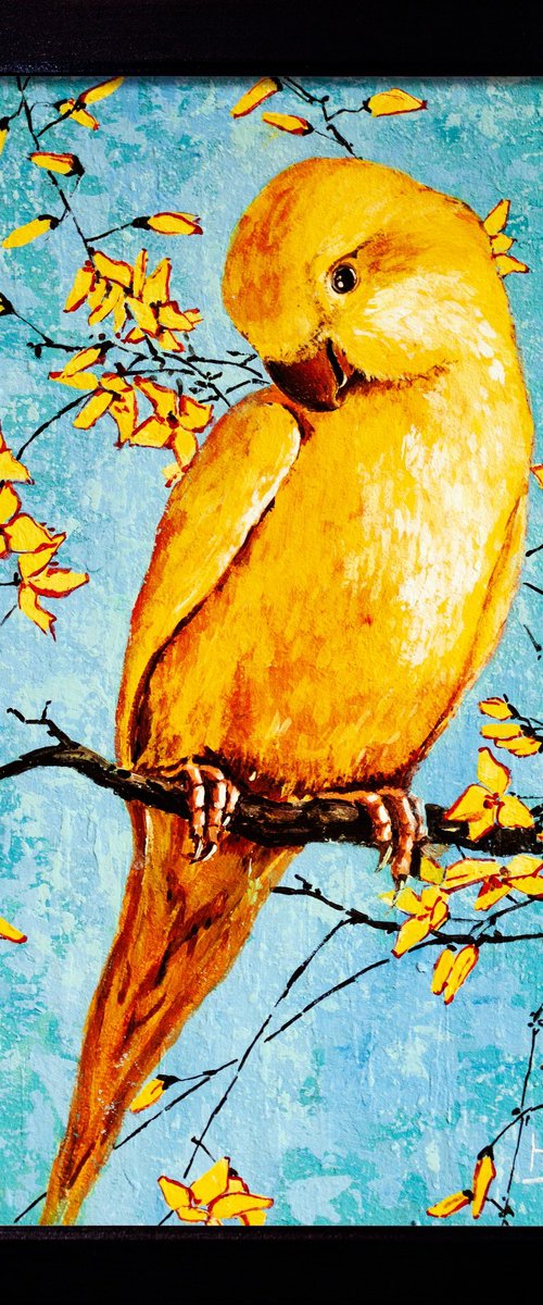 Yellow parrot by Aleksandr Neliubin