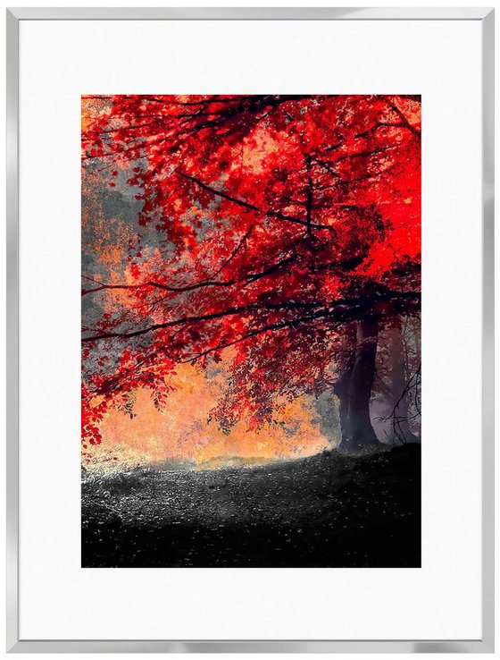 The Red Tree II