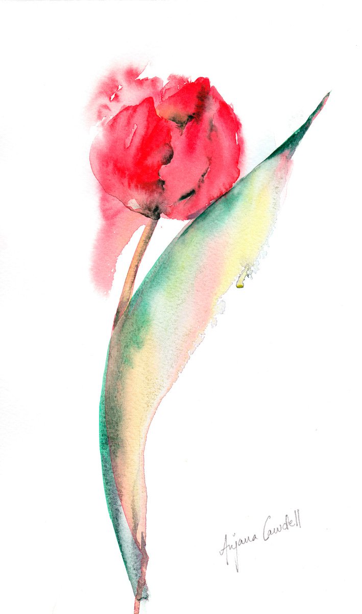 Tulip painting, minimalist painting, floral art, red flower, simple, contemporary art, wat... by Anjana Cawdell
