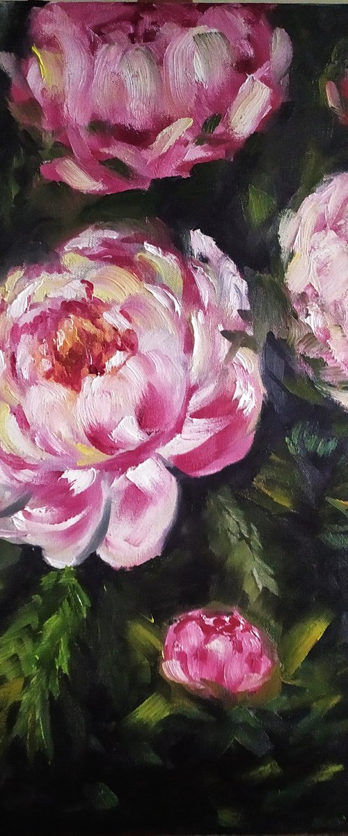 Love peonies by Nataliia Plakhotnyk