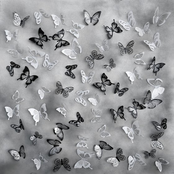 Mono metamorphosis