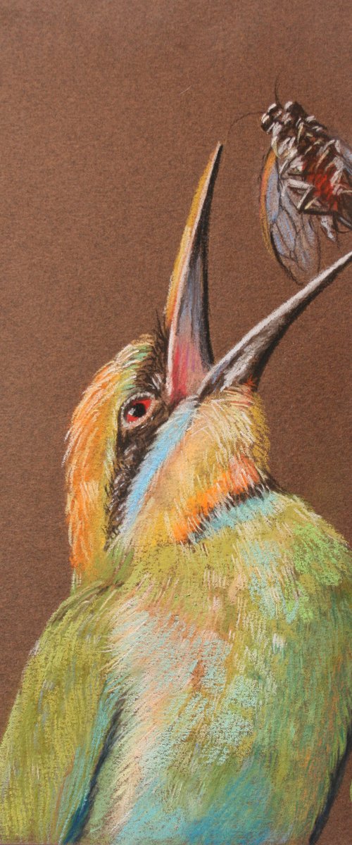 Little Green Bee-eater  6,5x9,5" /  ORIGINAL PAINTING by Salana Art Gallery