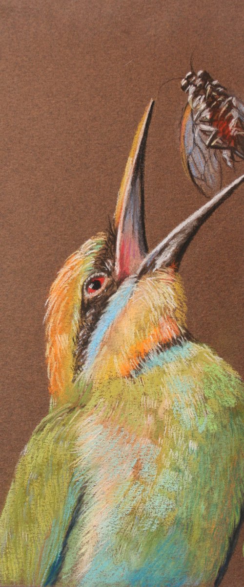 Little Green Bee-eater  6,5x9,5" /  ORIGINAL PAINTING by Salana Art