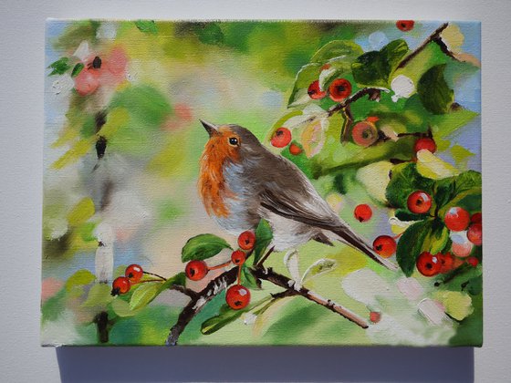 Robin with Red Berries