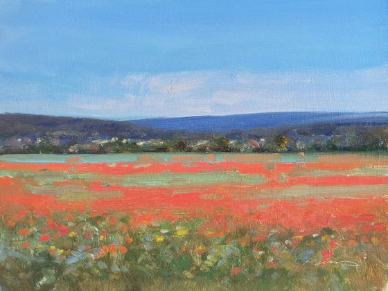 Poppy Fields in the Luberon