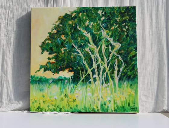 Trees That Protect