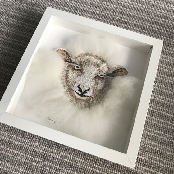 Sheep