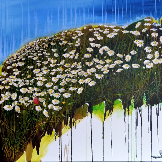 the poppy