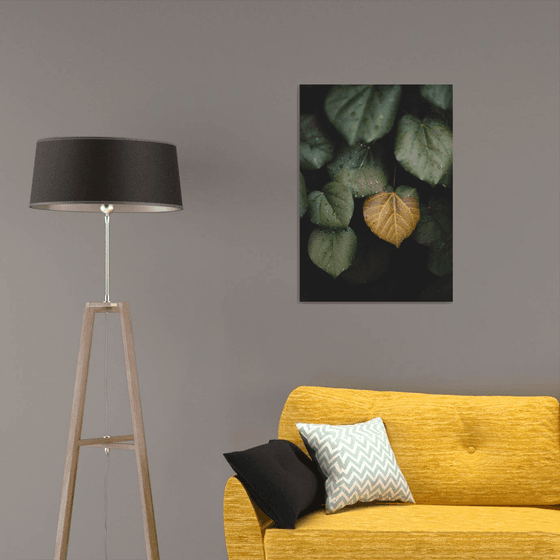 Winter leaves II | Limited Edition Fine Art Print 1 of 10 | 50 x 75 cm