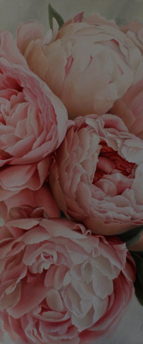 Peony arrangement by Julia Diven