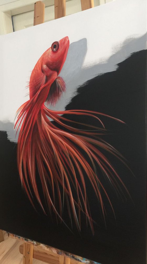 goldfish. Eka Peradze Art