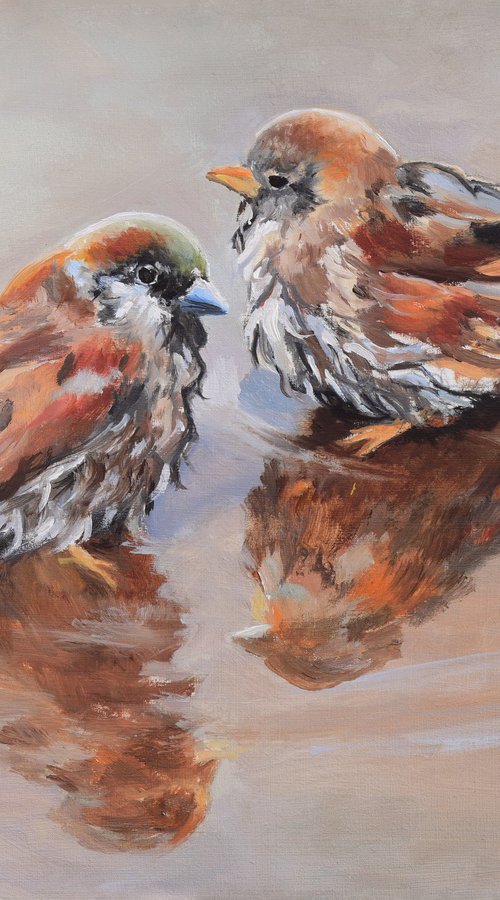 Sparrow bird couple in a puddle by Lucia Verdejo