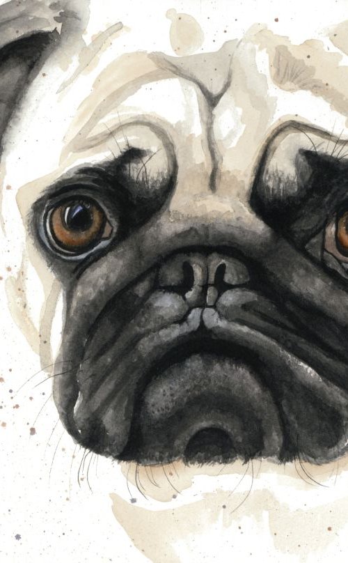 'Pug' by Nicola Colbran