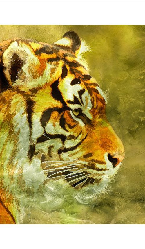 Bengal Tiger by Martin  Fry