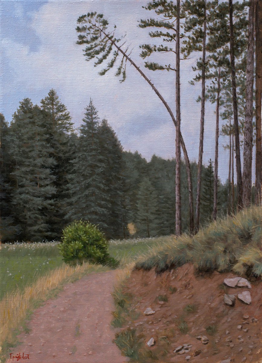 Impressionistic Landscape Oil Painting By Dejan Trajkovic, 22 X 30, Jarevac Track, Original Artwork