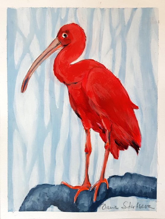 Scarlet Ibis in a Forest