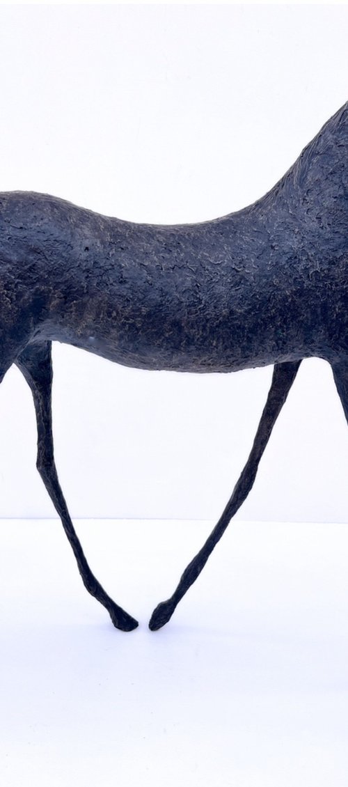 Ayla by Alexandra Shorey