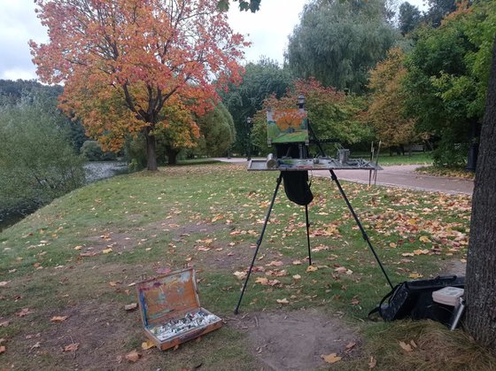 Autumn maple by the pond