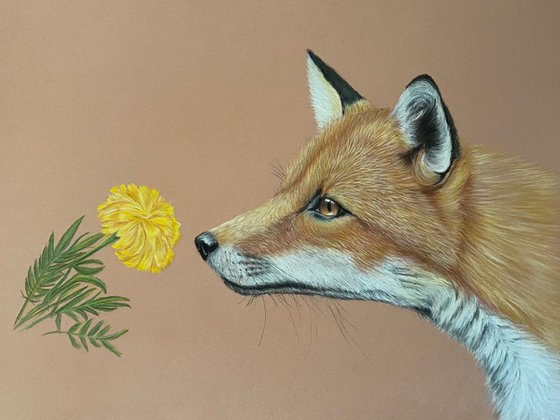 Fox and flower