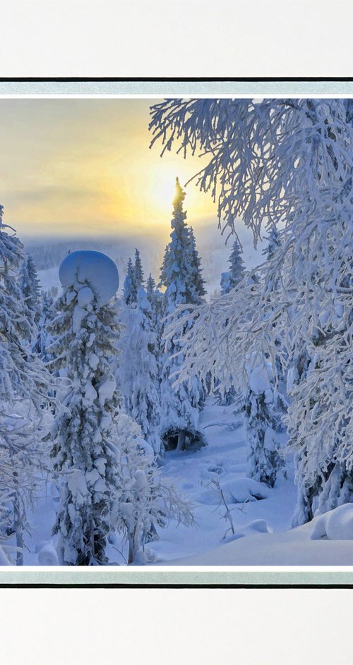 Finland Snow Forest five by Robin Clarke