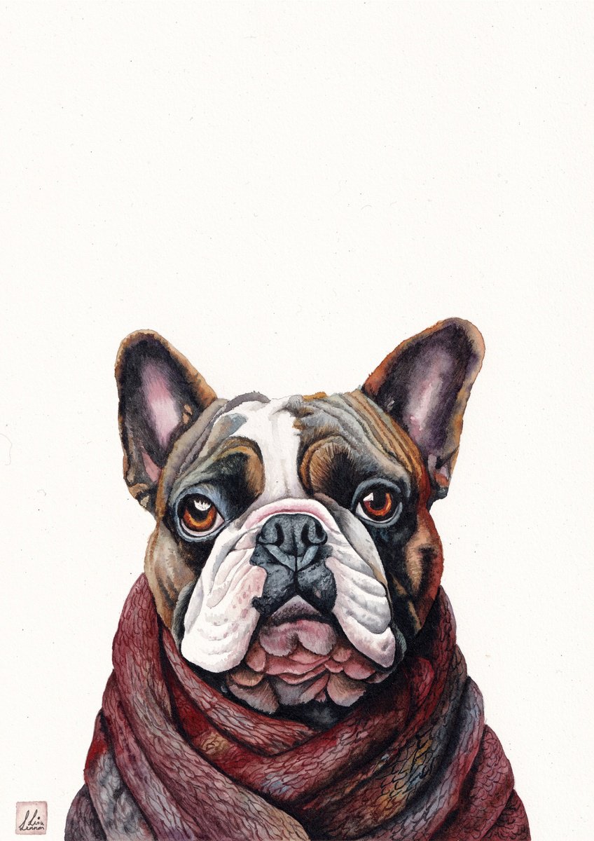 Animal Watercolour By Lisa Lennon, 8 X 12", Bulldog, Original Artwork
