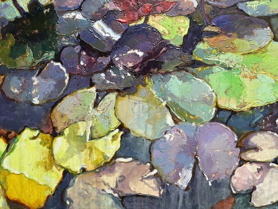 Water Lilies