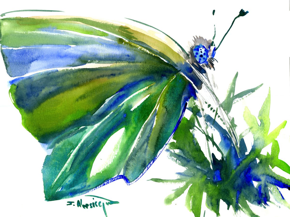 Butterfly by Suren Nersisyan