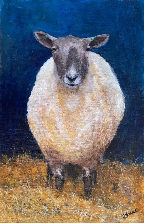 Sheep portrait by Teresa Tanner