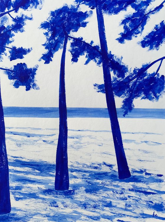 Cap Coz beach