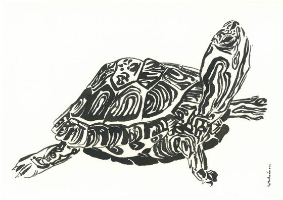 Turtle