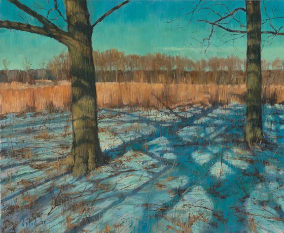 The Last Silence of Snow