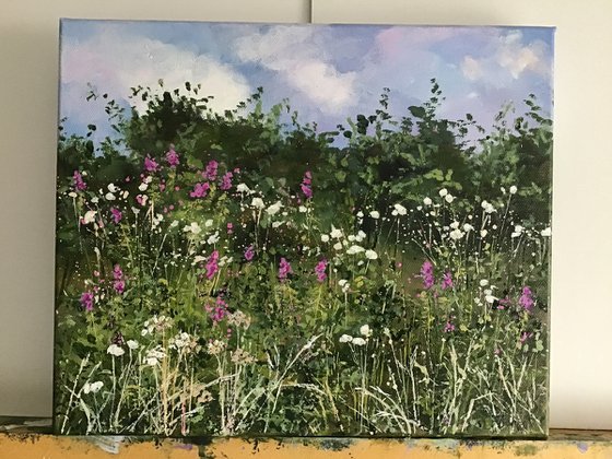 Summer Hedgerow
