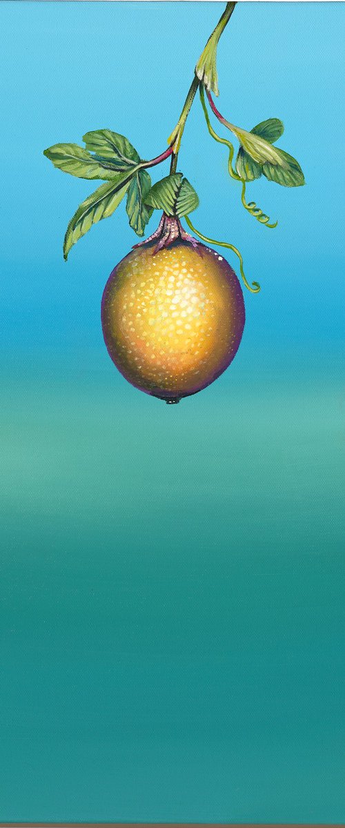 O Maracjua-Passion Fruit Mini2 by Deborah Jones