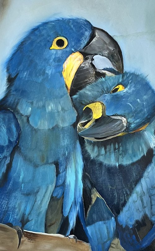 Blue parrots by Myroslava Denysyuk