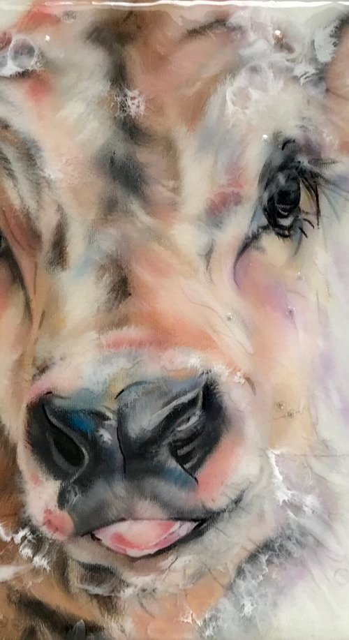 Snow by Carol Gillan