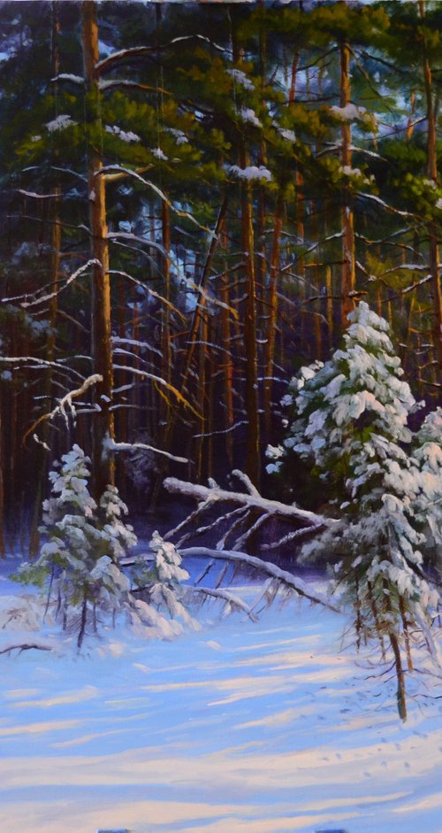 January day in a pine forest by Ruslan Kiprych