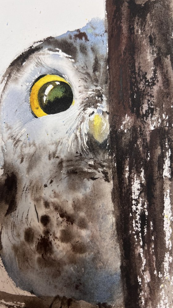 Owl in Hiding