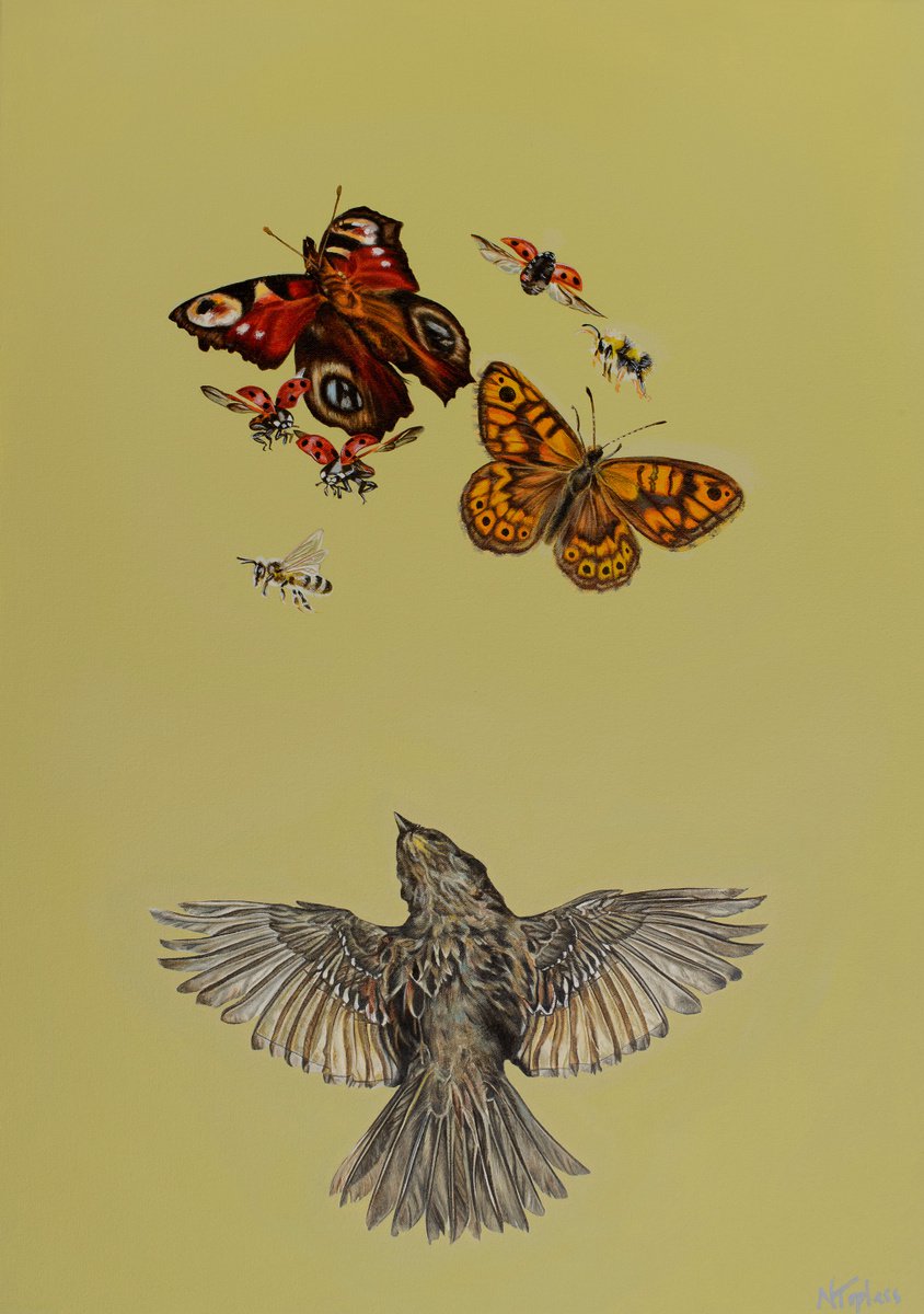 Flutterbies by Natalie Toplass