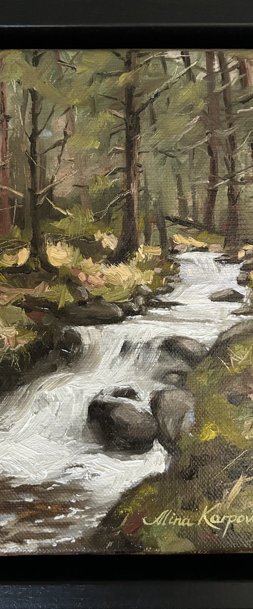 Forest falls by Alina Karpova
