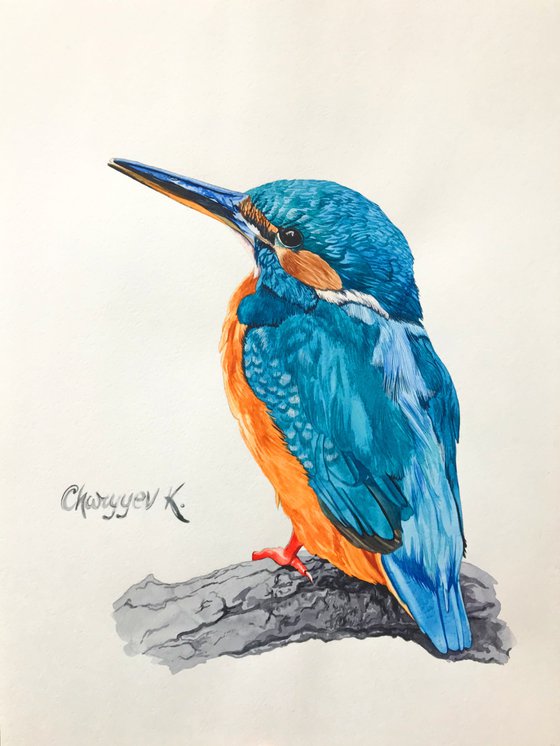 Kingfisher from the collection "Watercolor birds"