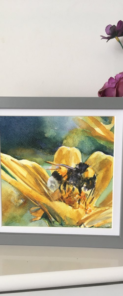 Framed Watercolour Bee on Flower by Sarah Stowe