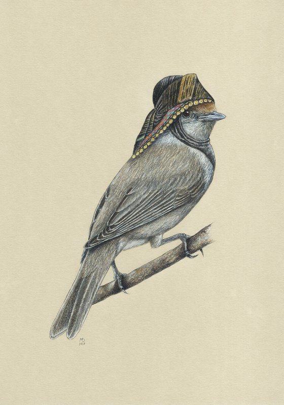 Original pastel drawing bird "Eurasian blackcap"