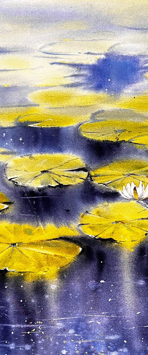 Waterlilies in Delft Landscape Nature Watercolor Painting, Flowers painting by Yana Ivannikova