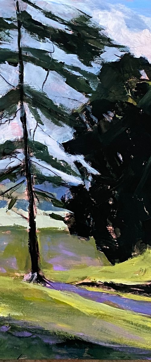 Two Evergreens In Spring by Nikki Wheeler