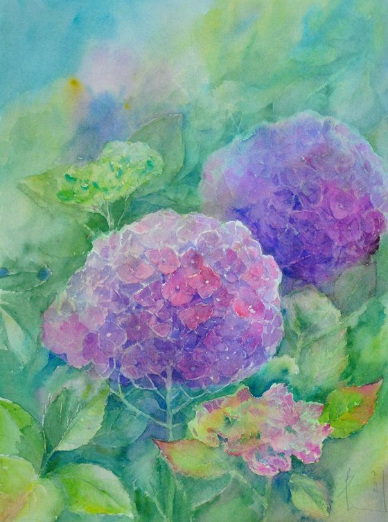 HYDRANGEAS. SUNNY DAY IN GARDEN.2018.048 original watercolor 30x40