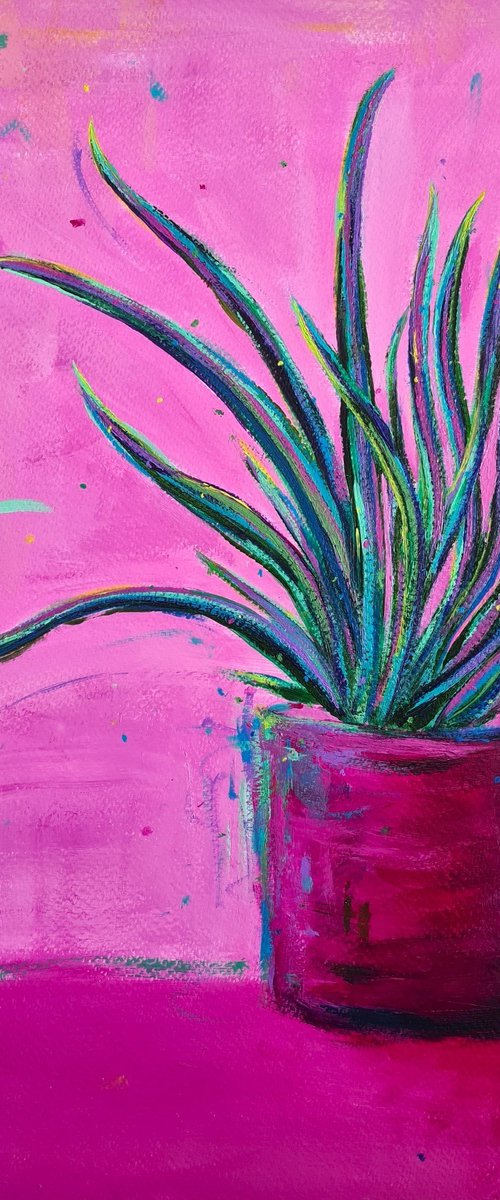 House Plant by Dawn Underwood